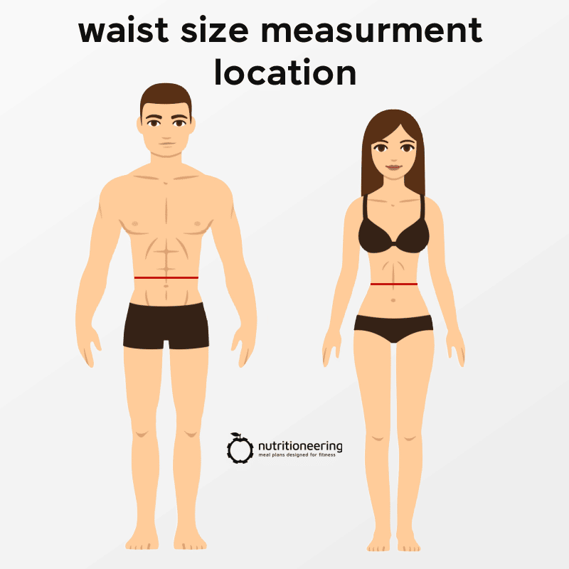 is-a-32-inch-waist-considered-healthy-for-males-females