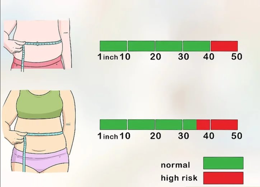 Is a 32 Inch Waist Considered Healthy? For Males & Females