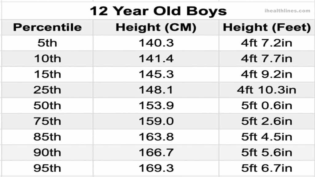 What is an average 12 year old height?
