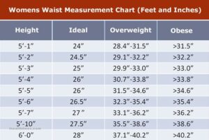 Average Waist Size For Men & Women Comprehensive Guide