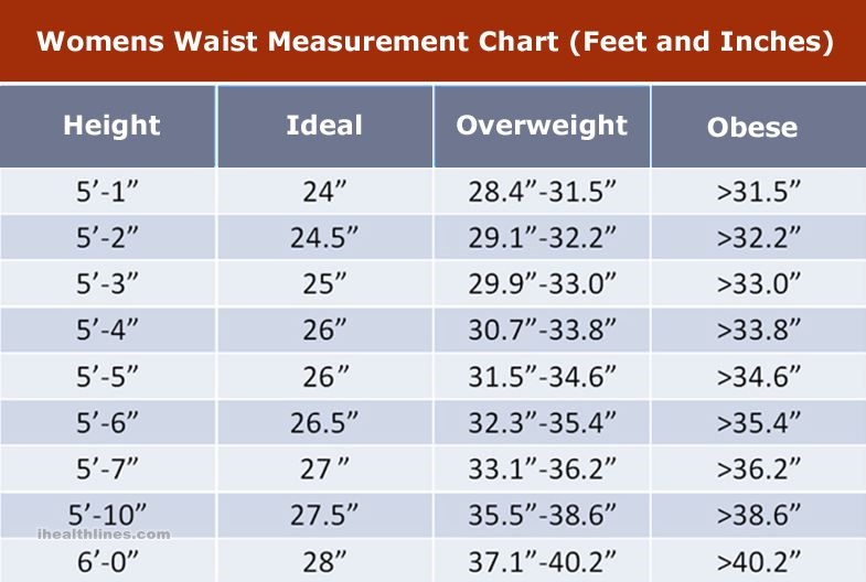 Average waist size