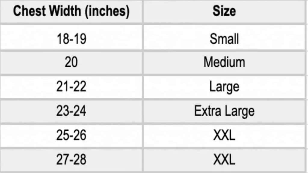 average-chest-size-for-men-an-ultimate-guide